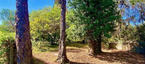 5 rooms House in Castagneto Carducci, Italy No. 123928 9