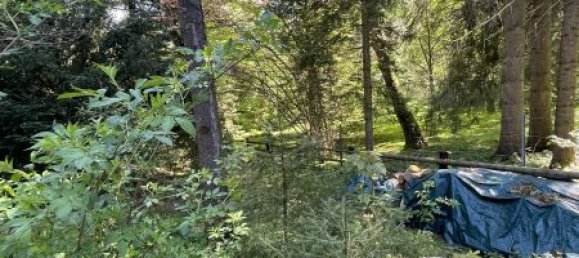 Дом с 5 комнатами в Шпиталь ам Земмеринг, Австрия № 153251 9