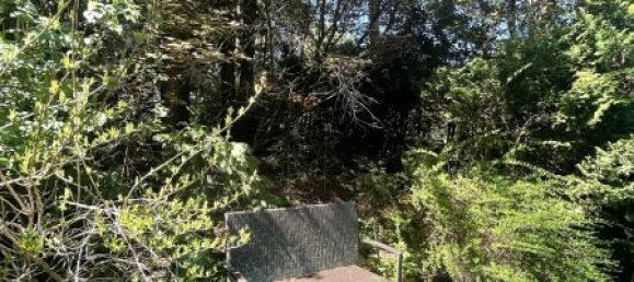 Дом с 5 комнатами в Шпиталь ам Земмеринг, Австрия № 153251 8