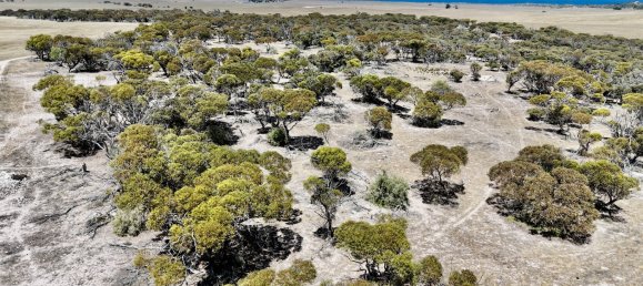 500200m² Land in Streaky Bay, Australia No. 956 7