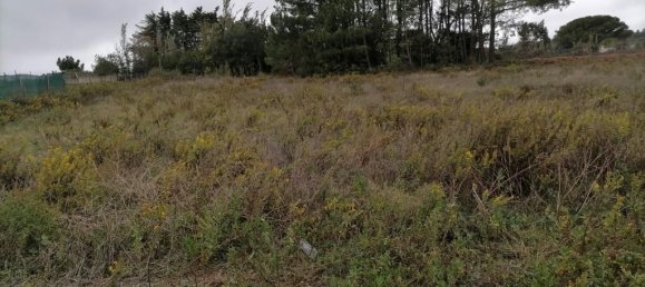 3 Schlafzimmer Haus in Sintra, Portugal, Nr. 149782 11