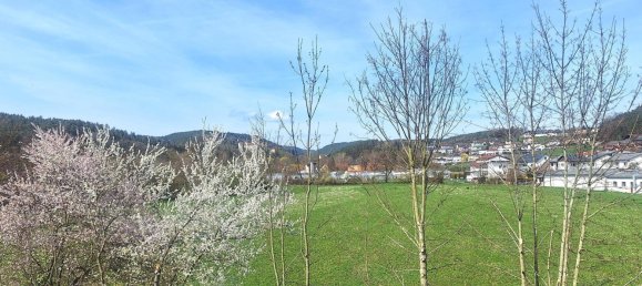 2 Schlafzimmer Wohnung in Gallneukirchen, Austria, Nr. 138585 3