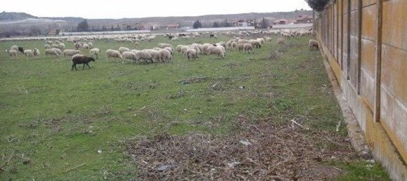 Земельный участок 10324м² в Симанкас, Испания № 132569 6