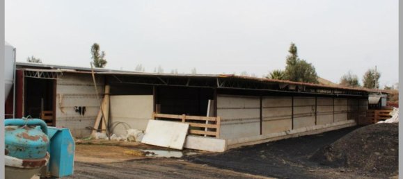 6 bedrooms Villa in Vetralla, Italy No. 315319 32