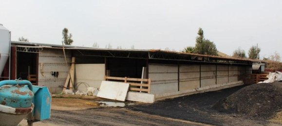 6 bedrooms Villa in Vetralla, Italy No. 315319 6