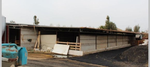 6 bedrooms Villa in Vetralla, Italy No. 315319 19