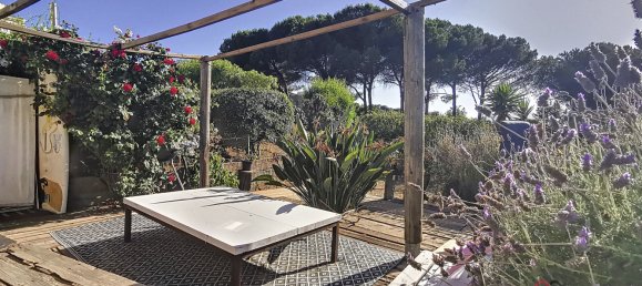 3 chambres Villa à Pietrosella, France No. 50794 13