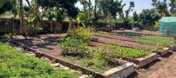 3 غرف نوم فيلا في Mae Taeng, Thailand رقم 65006 27