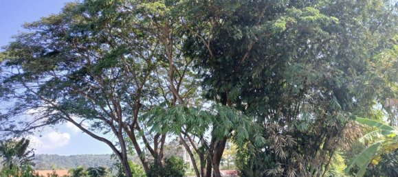 3 غرف نوم فيلا في Mae Taeng, Thailand رقم 65006 29