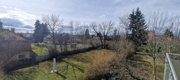 6 rooms Villa in Liebenau, Austria No. 177152 28