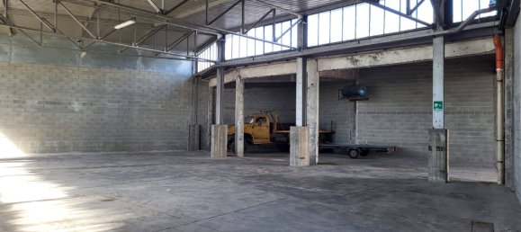 Lagerhaus in Pianezza, Italy 500m², Nr. 55495 6