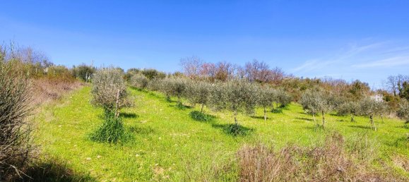 1531m² Land in Perugia, Italy No. 176144 3