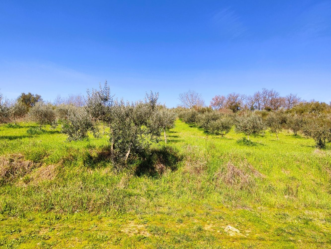1531m² Land in Perugia, Italy No. 176144