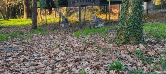 Земельный участок с 1 комнатой в Каприате Сан Джервазио, Италия № 156119 4