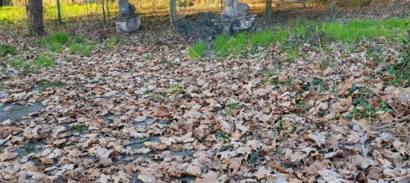 Земельный участок с 1 комнатой в Каприате Сан Джервазио, Италия № 156119 5