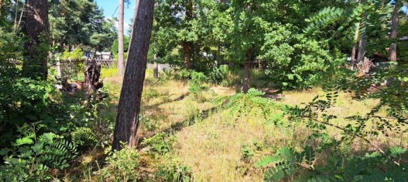 Terreno en Teltow-Flaming, Germany No. 71332 3