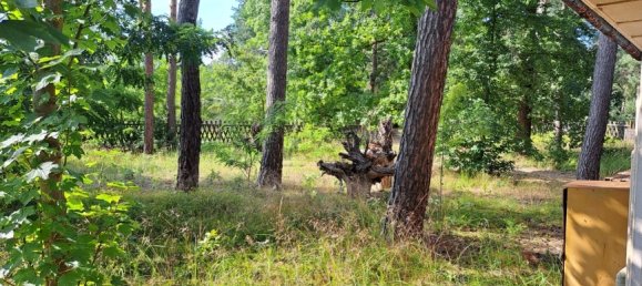 Terreno en Teltow-Flaming, Germany No. 71332 4