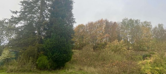 498m² Land in Schmalkalden-Meiningen, Germany No. 154588 3