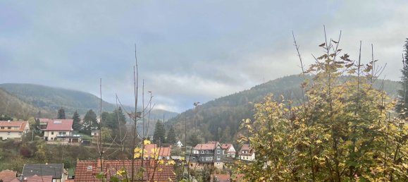 498m² Land in Schmalkalden-Meiningen, Germany No. 154588 5