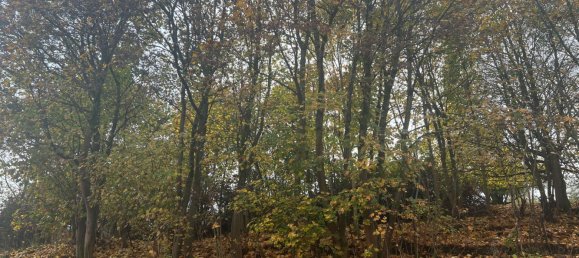 498m² Land in Schmalkalden-Meiningen, Germany No. 154588 4