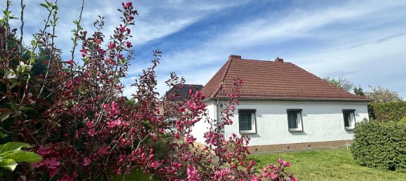 1 bedroom House in Franzosisch Buchholz, Germany No. 11513 5