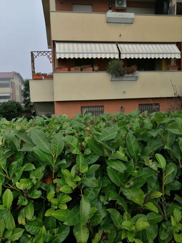 3 rooms Duplex in Bubbiano, Italy No. 254552