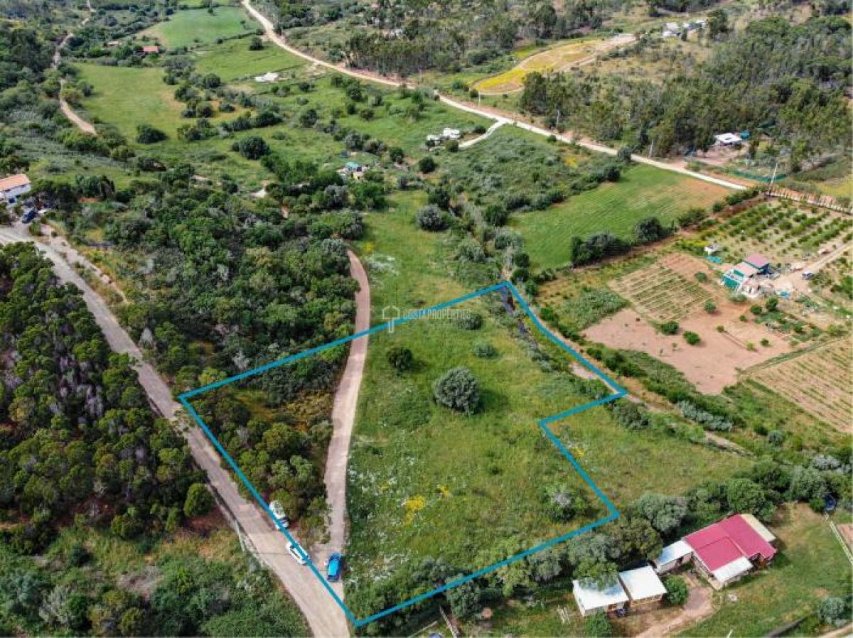 Земельный участок в Вила ду Бишпу, Португалия № 8926