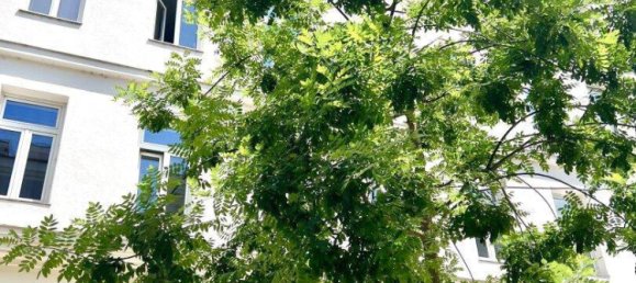 4-Zimmer Haus in Margareten, Austria, Nr. 156633 8