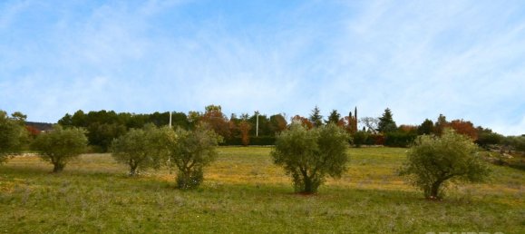 4 rooms House in Cisternino, Italy No. 66988 6