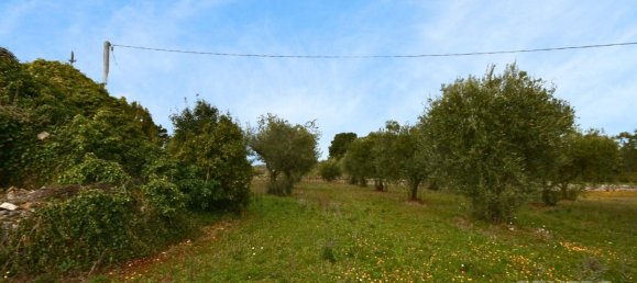 4 rooms House in Cisternino, Italy No. 66988 7