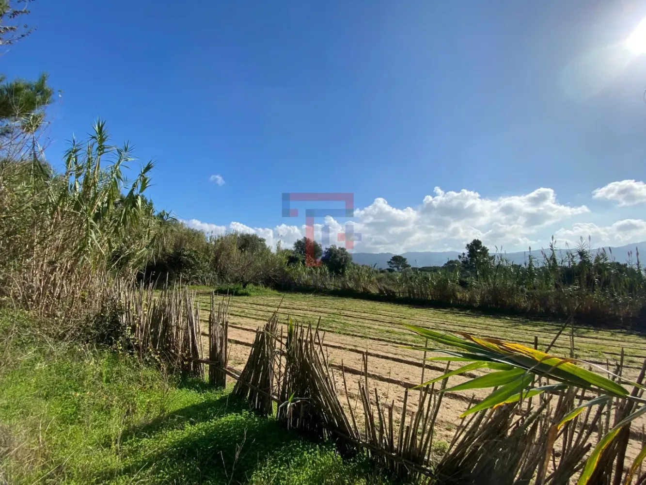 Terreno em Sintra, Portugal 1300 m² N.º 151761