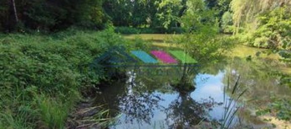 Дом с 1 спальней в Петимон, Франция № 311828 9