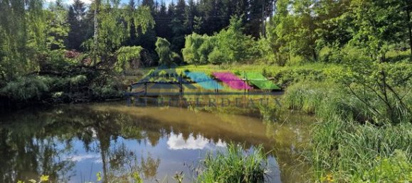 Дом с 1 спальней в Петимон, Франция № 311828 2