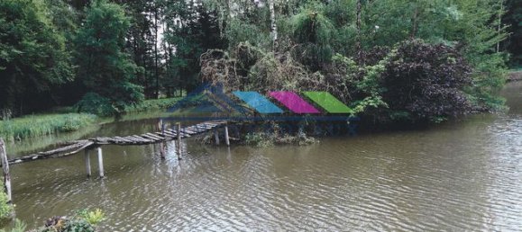 Дом с 1 спальней в Петимон, Франция № 311828 3