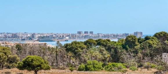 2 bedrooms Apartment in Alicante, Spain No. 189869 18