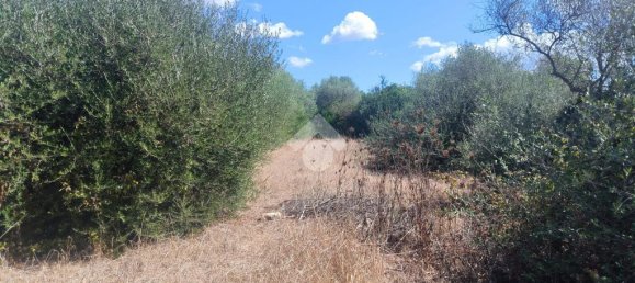 6330m² Land in Sassari, Italy No. 356684 10