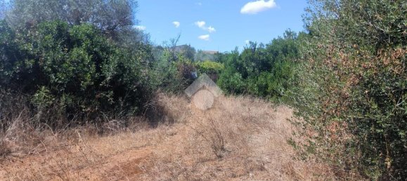 6330m² Land in Sassari, Italy No. 356684 12
