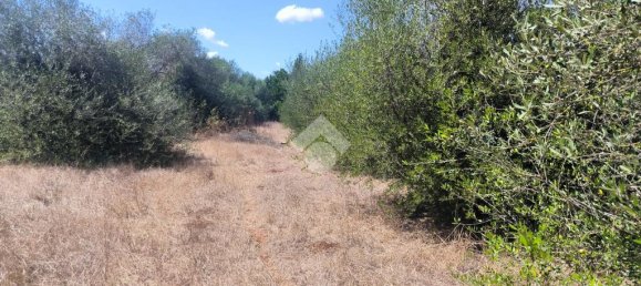 6330m² Land in Sassari, Italy No. 356684 6