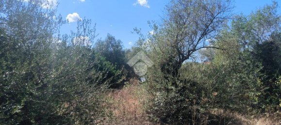 6330m² Land in Sassari, Italy No. 356684 11