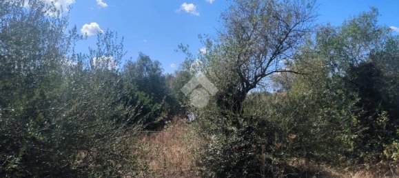 6330m² Land in Sassari, Italy No. 356684 7
