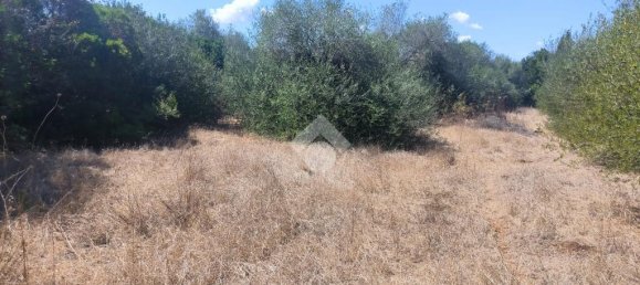 6330m² Land in Sassari, Italy No. 356684 9