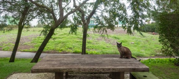 3 bedrooms House in Palmela, Portugal No. 24416 48