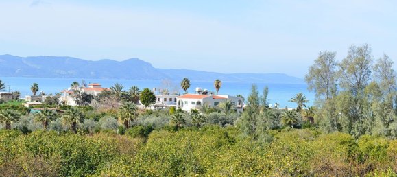 2-Zimmer Villa in Paphos, Cyprus, Nr. 24746 3