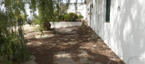 Дом с 10 спальнями в Альмайяте, Испания № 58808 6