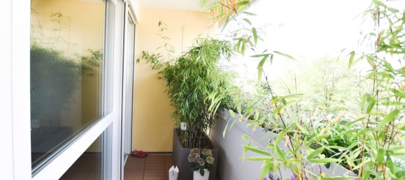 3 chambres Appartement à Munich, Germany No. 223002 3