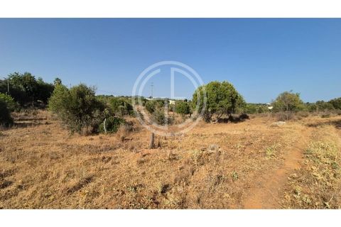  Land in Faro, Portugal No. 151538