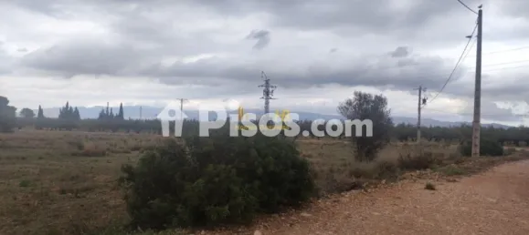 Terrain à Roquetes, Spain 15600m² No. 165132 6