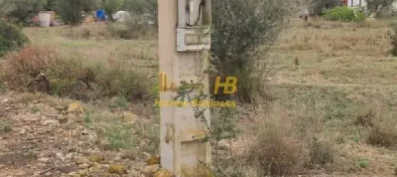 Terrain à Roquetes, Spain 15600m² No. 165132 4