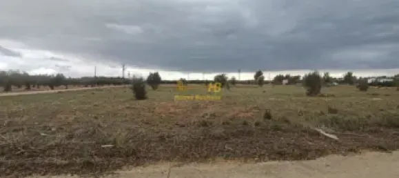 Terrain à Roquetes, Spain 15600m² No. 165132 8