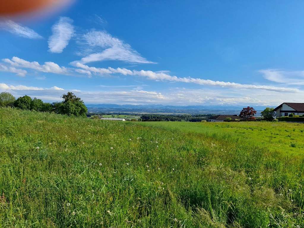 Terrain à Windhaag bei Perg, Austria No. 60919